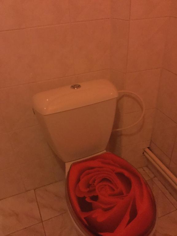 דירות Vysoké Mýto Lydiavi מראה חיצוני תמונה